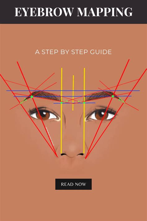Eyebrow Guide Template