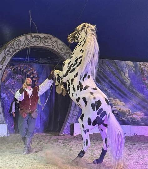 F.G Meca à Nercillac