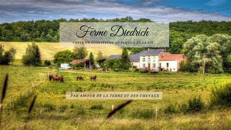 FERME DIEDRICH à Rodemack