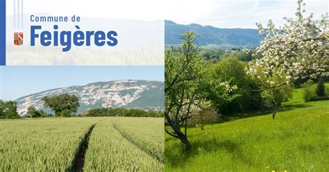 FIDELEC à Feigères