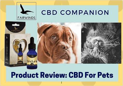 Fairwinds CBD Companion Review: A Comprehensive Guide to CBD for Pets