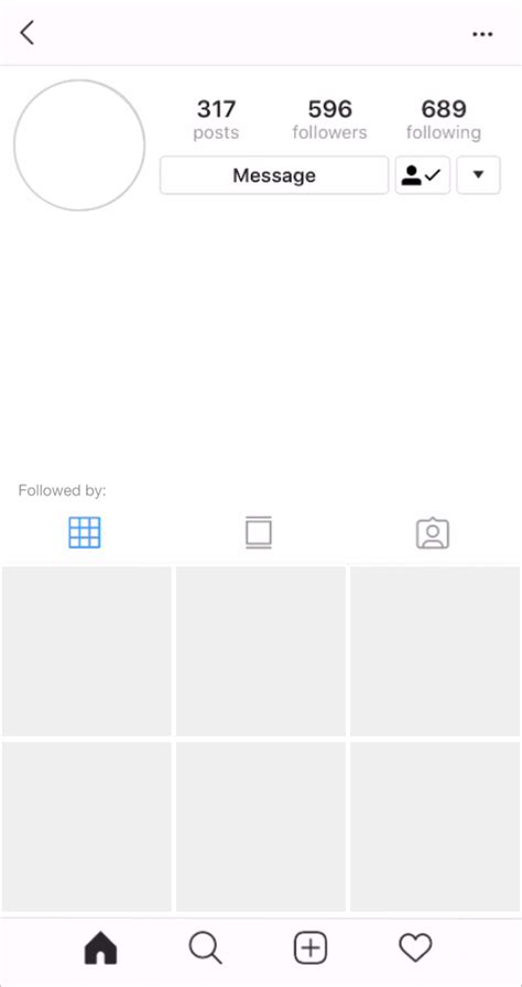 Fake Instagram Account Template