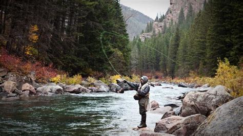 Fall Fly Fishing in Montana