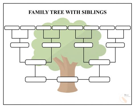 Family Tree Template Including Siblings