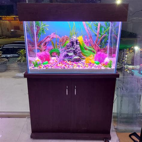 Fancy fish aquarium