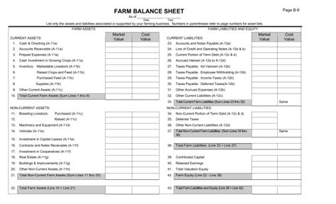Farm Balance Sheet Template