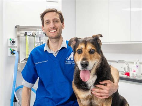 Farnham Veterinary Group, Practice & Hospital