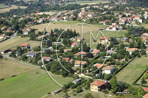 FastForwardMarkets à Brindas