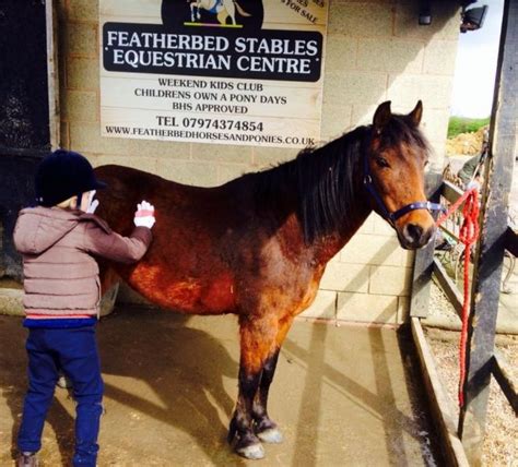 Featherbed Stables and Riding School