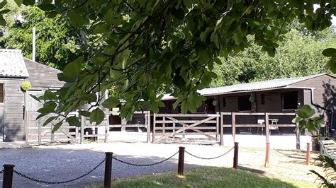 Fen Equestrian Centre and Glamping Ltd
