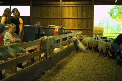 Ferme Labèle Colline à Amplepuis