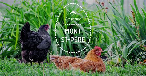Ferme Petit Moulin (SCEA) à Mont-Saint-Père