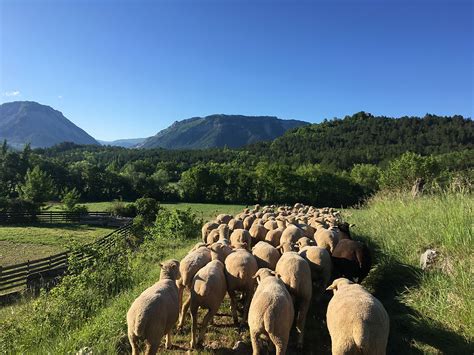 Ferme de la Bâtie à Montlaur-en-Diois
