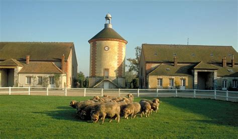 Ferme de la Bergerie nationale de Rambouillet à Rambouillet