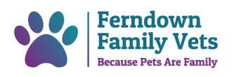 Ferndown Family Vets