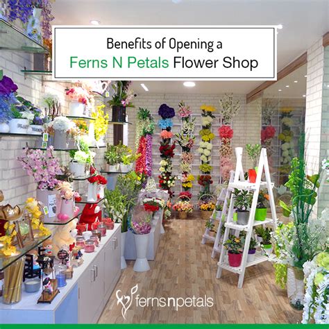 Ferns N Petals : Flower Shop in Mall Road, Hoshiarpur