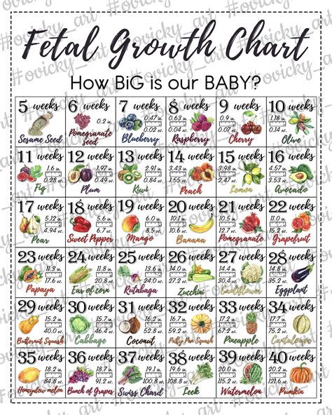 Fetal Growth Chart Week By Week