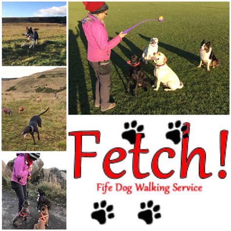 Fetch!Fife Training And Dog Walking Service