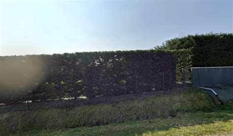 Fidelec33 à Caudrot