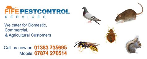 Fife Pest Control Services ®