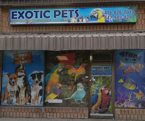 Fifth sense exotic pet shop