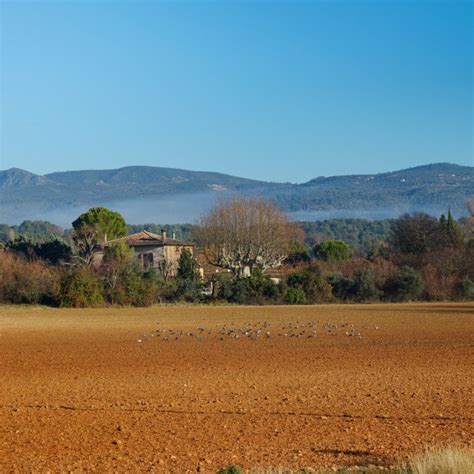 Filee Eric à Salernes