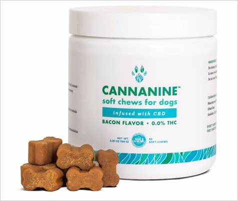 Finding the Best Hemp Gummies for Dogs: A Comprehensive Guide to Calming and Health Support