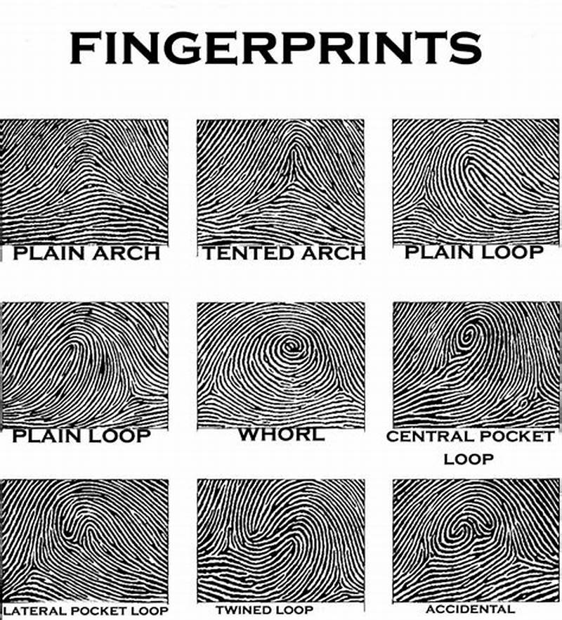 Finger Print Pattern