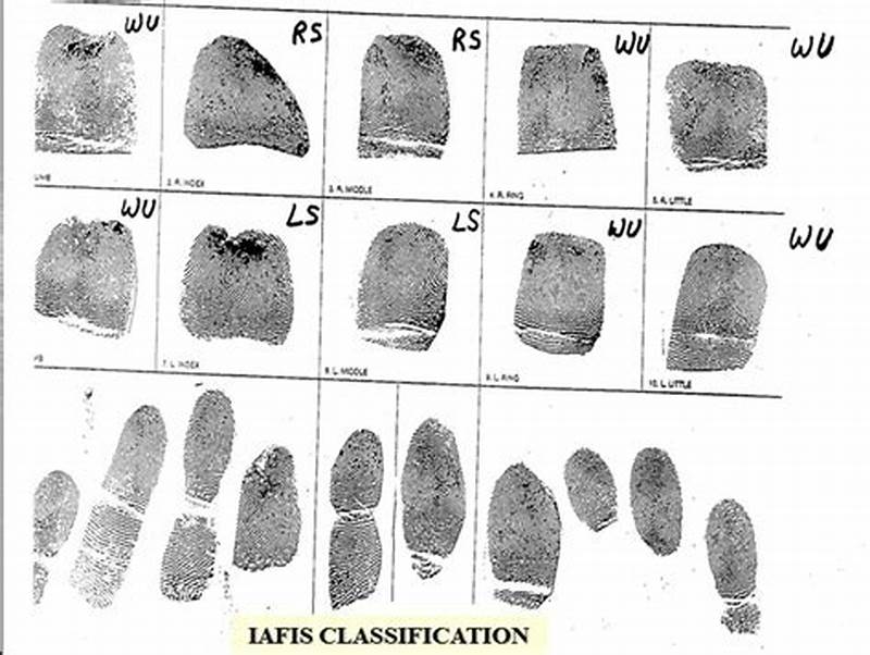 Fingerprint Classification Chart