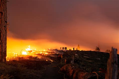 Fires & Flues ltd-Wood Burning Stoves | Godstone