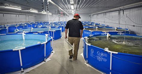 Fish Farms in Texas