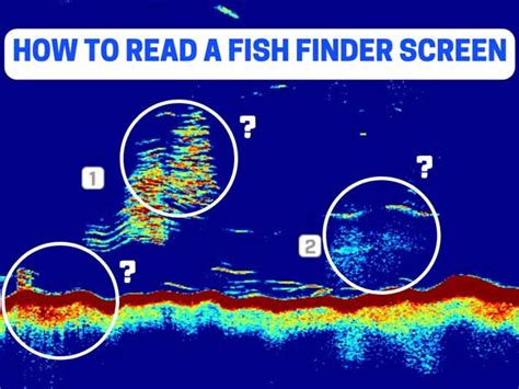 Fish Finder Screen Resolution