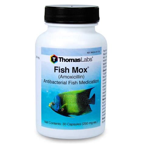 Is Fish Mox Safe for Humans