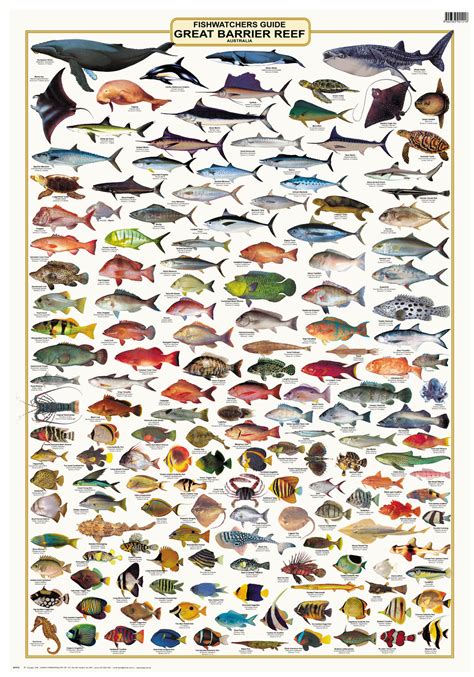Fish Species Identification