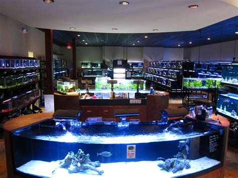 Fish Store Houston location