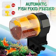 Fish tank food