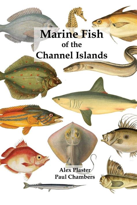 Fish in the Channel Islands