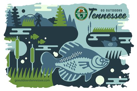 Fishing License in Tennessee