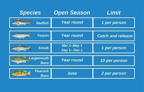 Fishing Regulations by Season