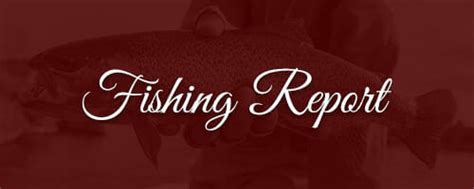 Fishing Reports Conditions