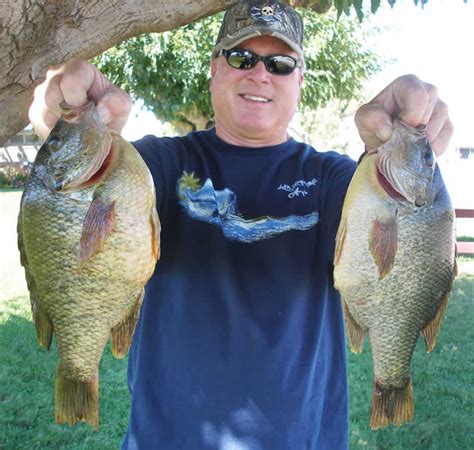 Best baits and tackle for Rio Vista