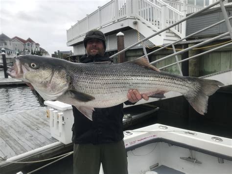 Fishing guides in NJ
