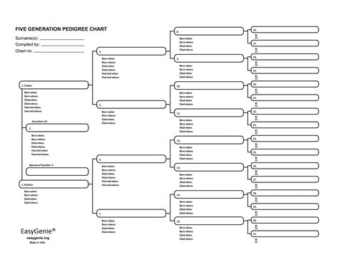 Five Generation Pedigree Chart