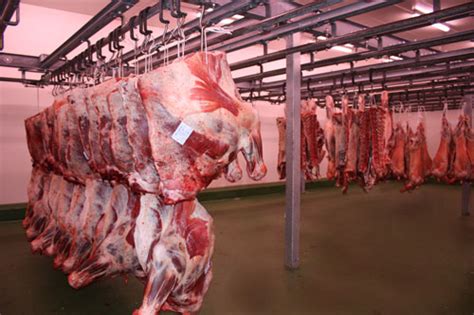 Fleischgroßhändler