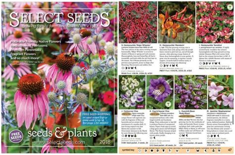 Flower And Vegetable Seed Catalogs