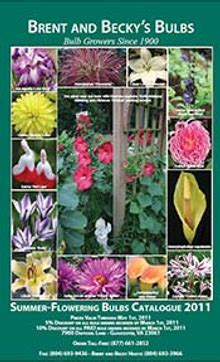 Flower Bulbs Catalog