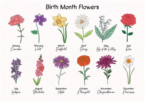 Flower By Month Chart