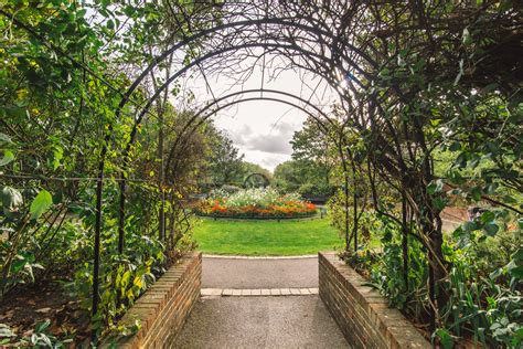 Flower Gardens - Paddington Recreational Ground