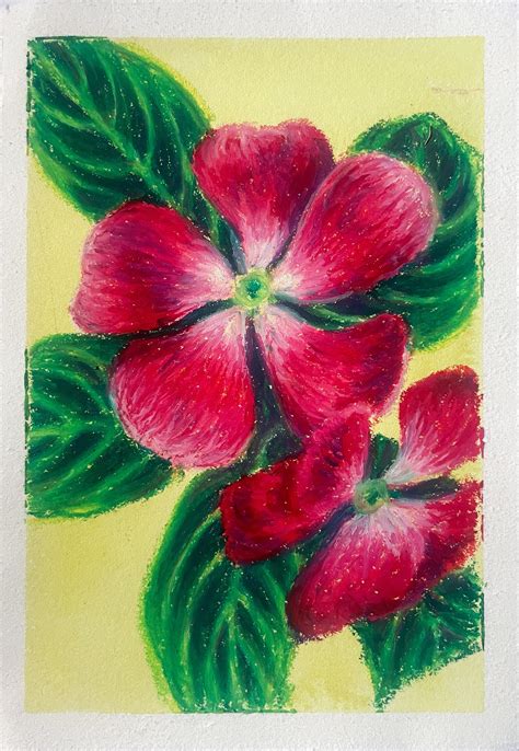 Flower Pastel Drawing