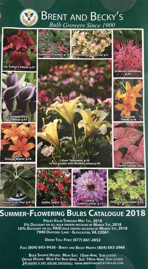 Flower Seed And Bulb Catalogs